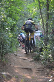 DSC_2018-9.jpg