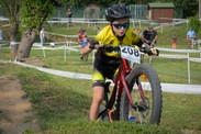DSC_2360-63.jpg