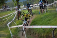 DSC_2542-99.jpg