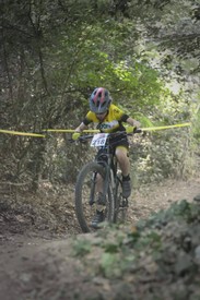 DSC_3931.jpg